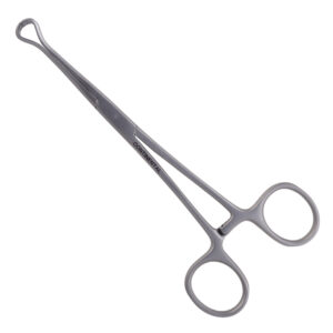 Babcock Forceps (Hilbro--Pakistan) 6"