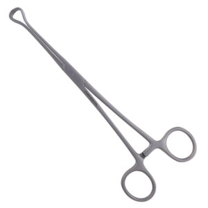 Babcock Forceps (Hilbro--Pakistan) 8"