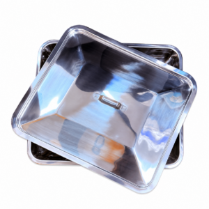 Stainless Steel Instrument Tray With Lid (Hilbro--Pakistan) Size: 12"×15"