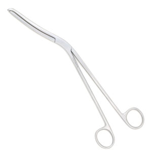 Lifter/Cheatle Forceps (Hilbro--Pakistan)