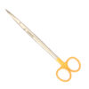 TC Tonsil/Head Pointed Scissor (Hilbro--Pakistan) 7" Curved