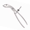 Self Centering/Verbrugge/Bone Holding Forceps With Thread Fixation (R/D–India) 11″