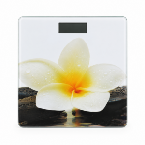 Digital Body Weight/Bathroom/Personal Weighing Scale (BE AWARE--China)